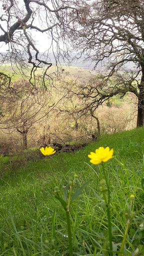 Nature Preserve «Coyote Valley Open Space Preserve», reviews and photos, 550 Palm Ave, Morgan Hill, CA 95037, USA