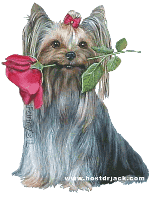mensagens, recados para Orkut dom dia, dia feliz,mensagens, citações, versos, frases!
