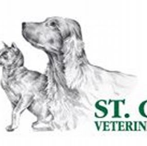 St Clair Veterinary Group Leven