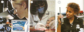 Jobs - work/ occupations - Picture Dictionary