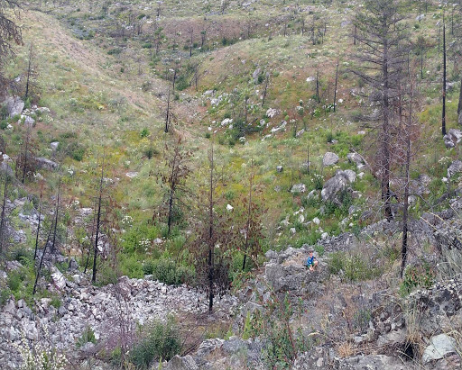 Alta Lake State Park