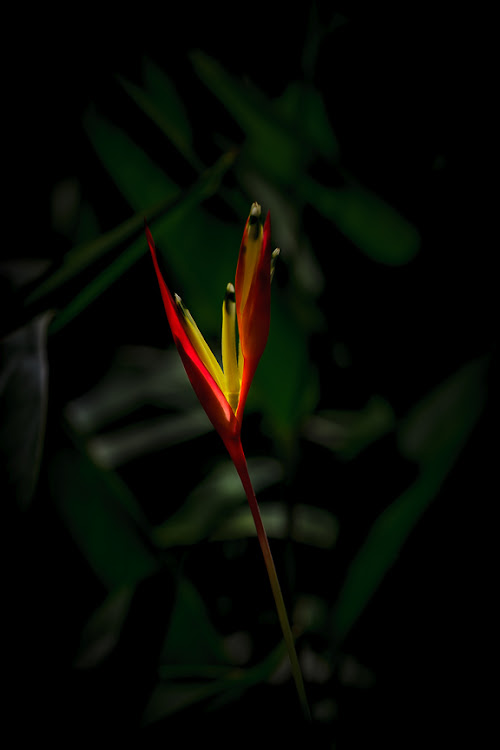posted image