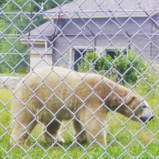 The Cochrane Polar Bear Habitat & Heritage Village