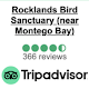 Rocklands Bird Sanctuary (Montego Bay)