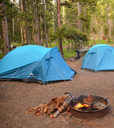 canyon village campground yellowstone