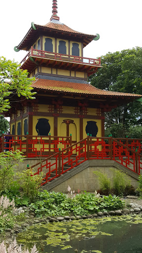 Place around image