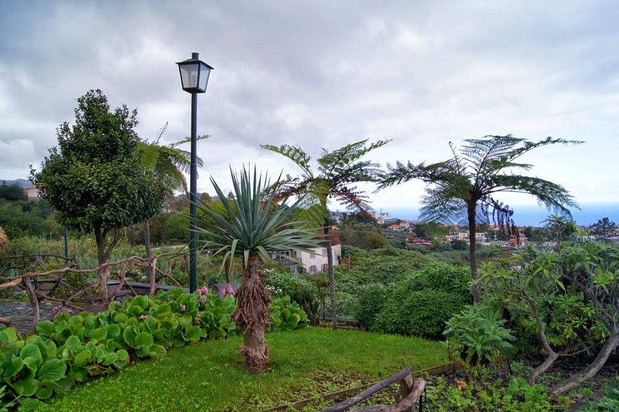Мадейра - остров вечной весны. Краткое знакомство с прекрасным островом и с надеждой туда вернуться...