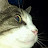 Rebecca Moore avatar image