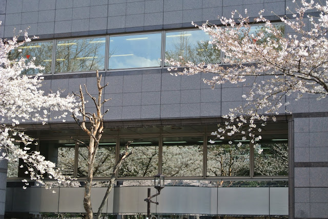 花見‧靖國通 2
