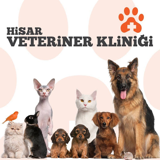 Hisar Veteriner Kliniği logo