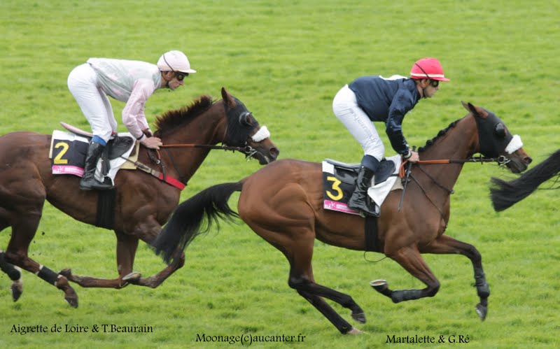Photos Auteuil 16-05-2015 Week-end printanier de l'obstacle IMG_9491