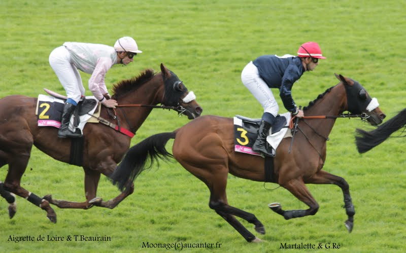 Photos Auteuil 16-05-2015 Week-end printanier de l'obstacle  IMG_9491