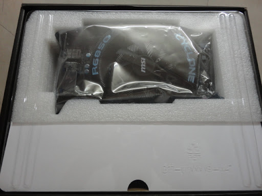 DSC03525.JPG