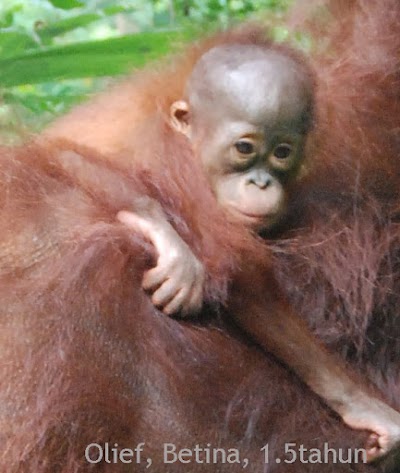 Photos of Nursery TMR