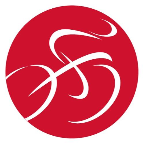Fietsenwinkel Van der Linde logo