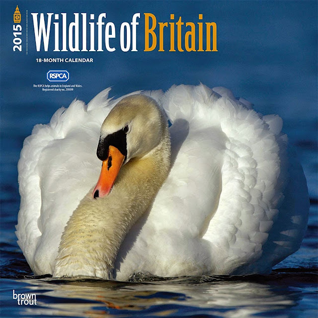 Wildlife of Britain RSPCA 2015 Wall Calendar
