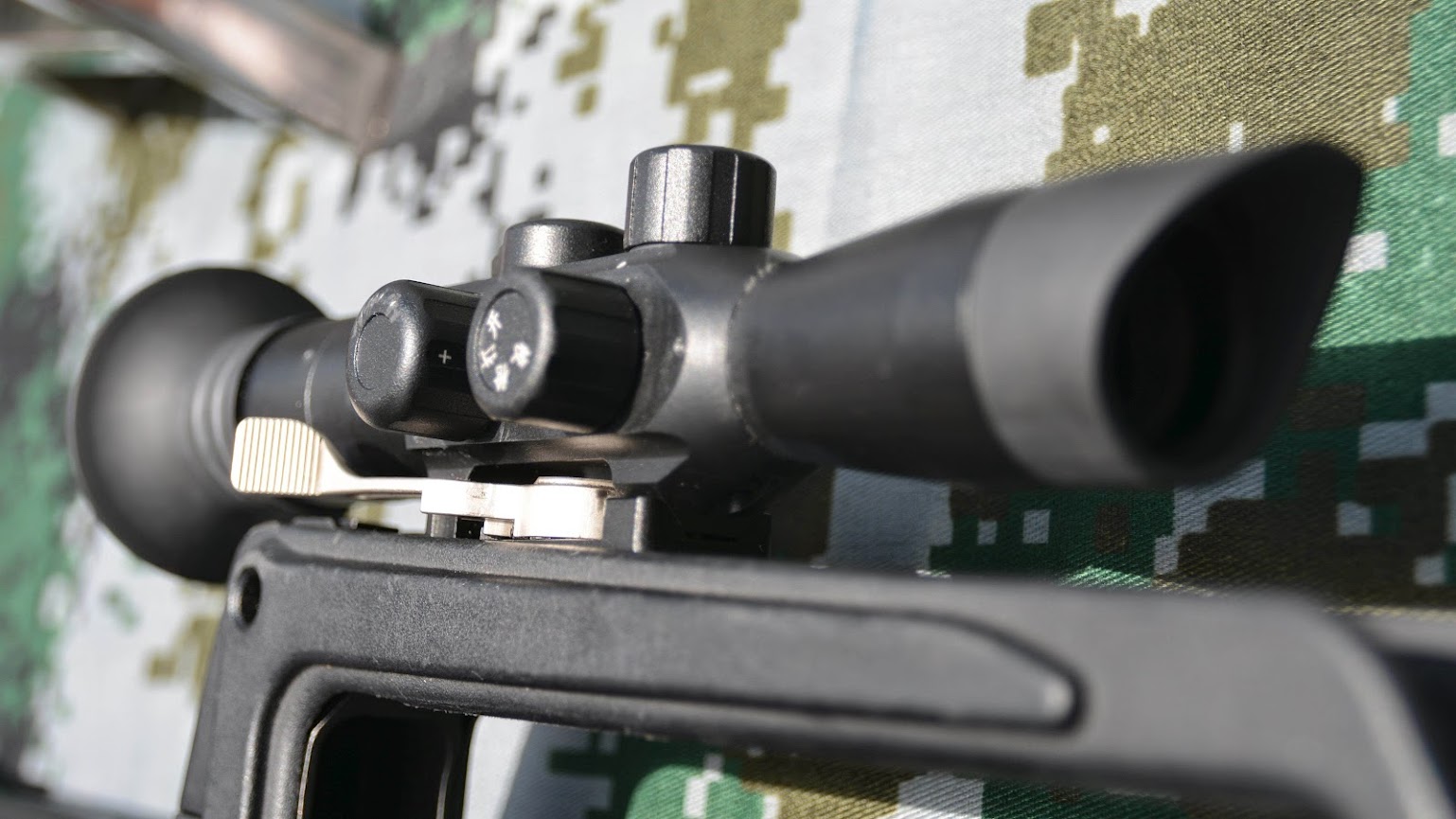QLG10A-028.JPG