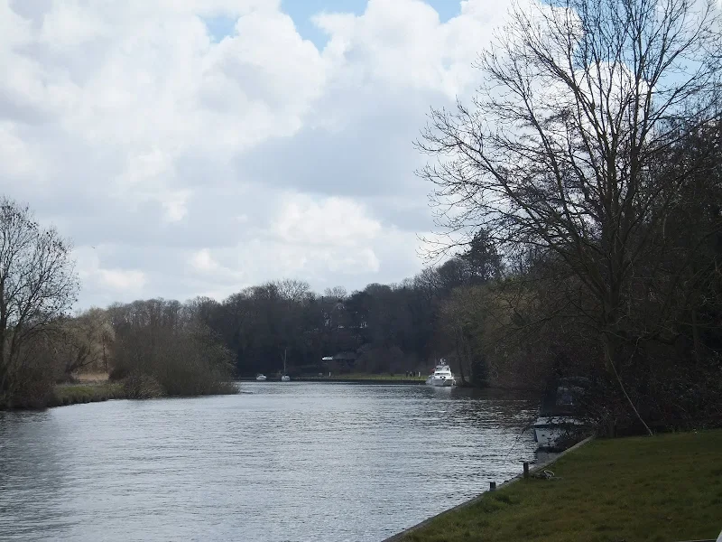 Bramerton Common
