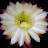 MammonDaughter avatar image