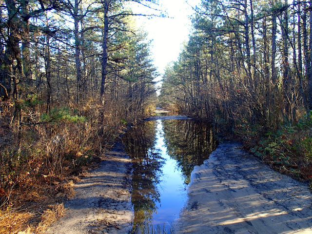 PB150025.JPG
