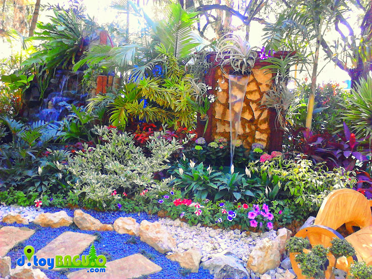 2013 Panagbenga Flower Festival Landscaping picture 30