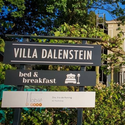 Villa Dalenstein logo