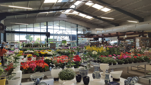 Primavera Garden Center, SC-401, Km 4, s/n - Saco Grande, Florianópolis - SC, 88032-000, Brasil, Lojas_Jardinagem, estado Santa Catarina