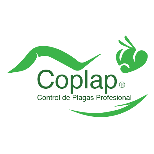 COPLAP Control de Plagas Profesional, 55771, Rinconada de San Pedro, 55771 Méx., México, Empresa de fumigación y control de plagas | EDOMEX
