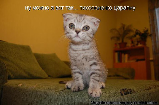 Ни дня без улыбки. У меня такое неприятное чувство, что вы правы Ни дня без улыбки. У меня такое неприятное чувство, что вы правы