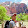 Timothy Imasa Timothy Imasa's profile photo
