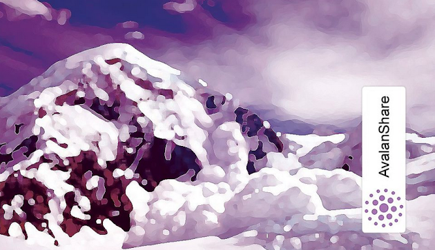 Cover photo
