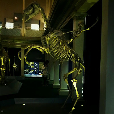 Australian Museum, 6 College Street, Sydney NSW 2010, Australia