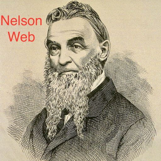 NelsonWeb logo