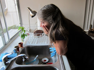 Me at my kitchen sink, pondering the meaning of totem rabbit outside the window