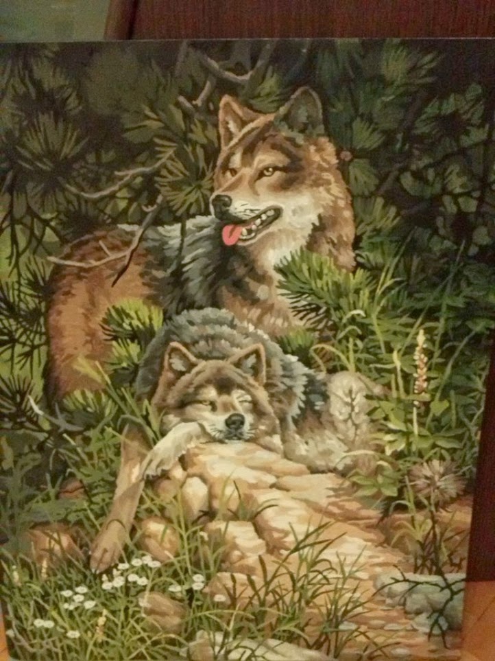 Дикие и свободные волки