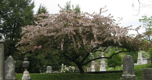 Cave Hill Cemetery