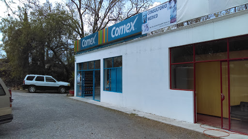 Comex, Camino Real a Guadalupe Eje Oriente 23, Centro, 42440 Tecozautla, Hgo., México, Tienda de pinturas | HGO