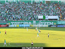 TORCIDA JOVEM CHAPECOENSE