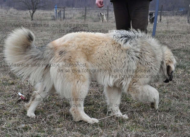 DSC_0076rw.JPG