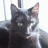 Debra Johnson avatar image