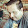Geoff Smith Geoff Smith's profile photo