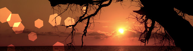 Cover photo