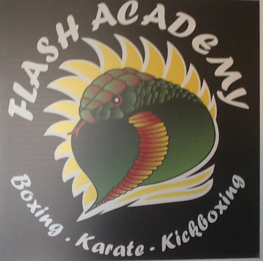 Flash Academy logo