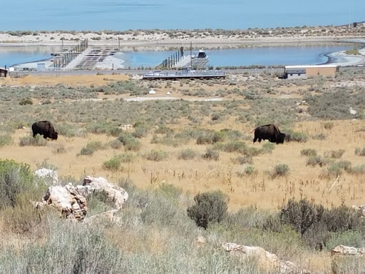 Antelope Island State Park