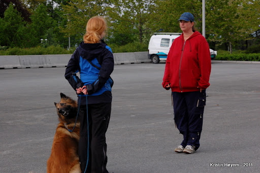 DSC_0070.JPG
