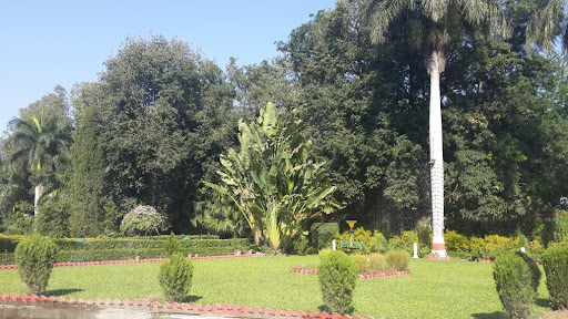 Raja Garden, Opp Krishna Grand City, Kohka, Bhilai, Chhattisgarh 490023, India, Garden, state CT