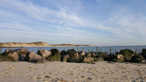 Baie d'Authie
