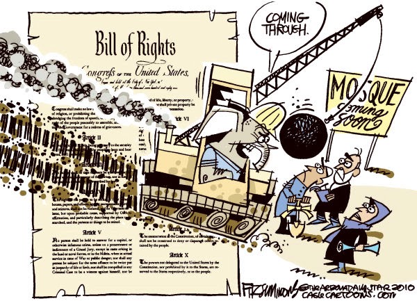 bill of rights political cartoon