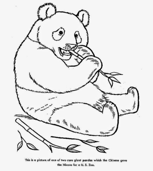 Free animal coloring pages! Color, Cut and Create - zoo animals coloring pages free