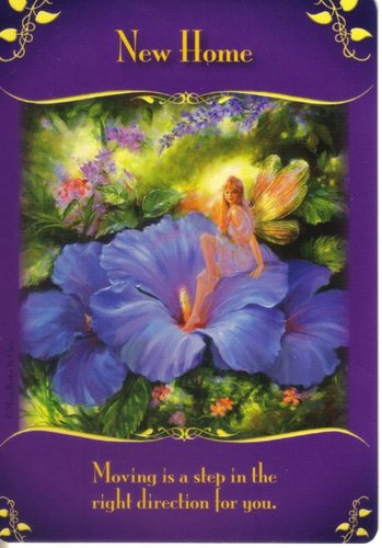 Оракулы Дорин Вирче. Магические послания фей. (Magical Messages From The Fairies Oracle Doreen Virtue). Галерея Card29